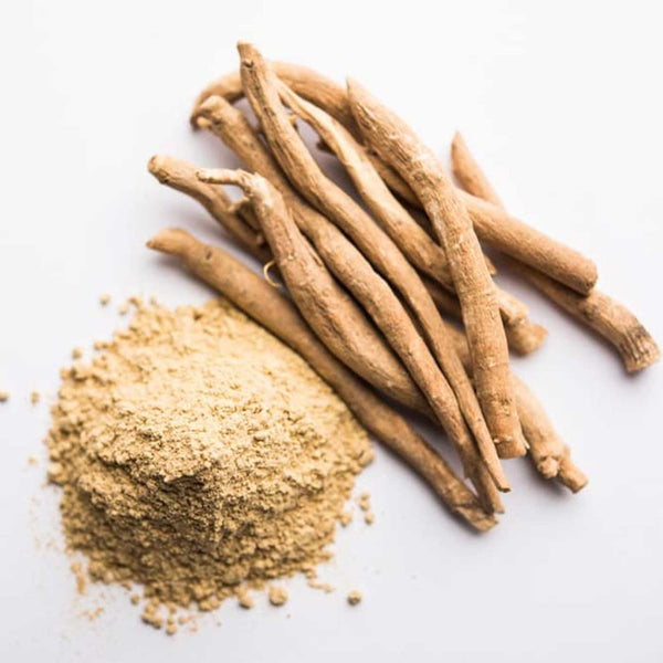 L'Ashwagandha, la plante du 21eme siècle aux multiples propriétés