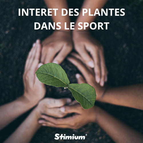Interet des plantes dans le sport consommer une nutrition phyto a base de plantes pour plus de performances plus d'energie en preparation ou en prevention