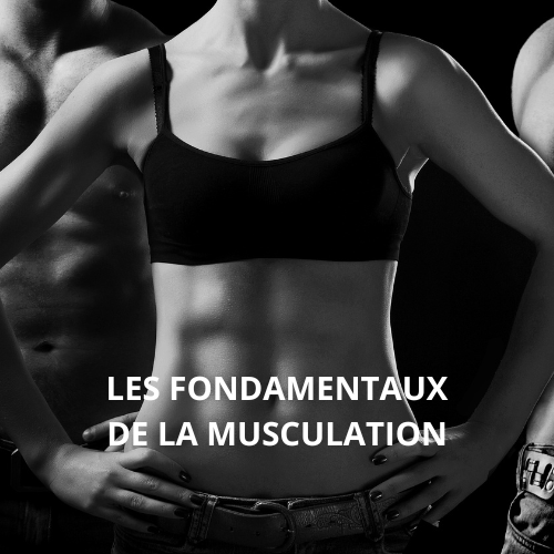 MUSCULATION - LES FONDAMENTAUX