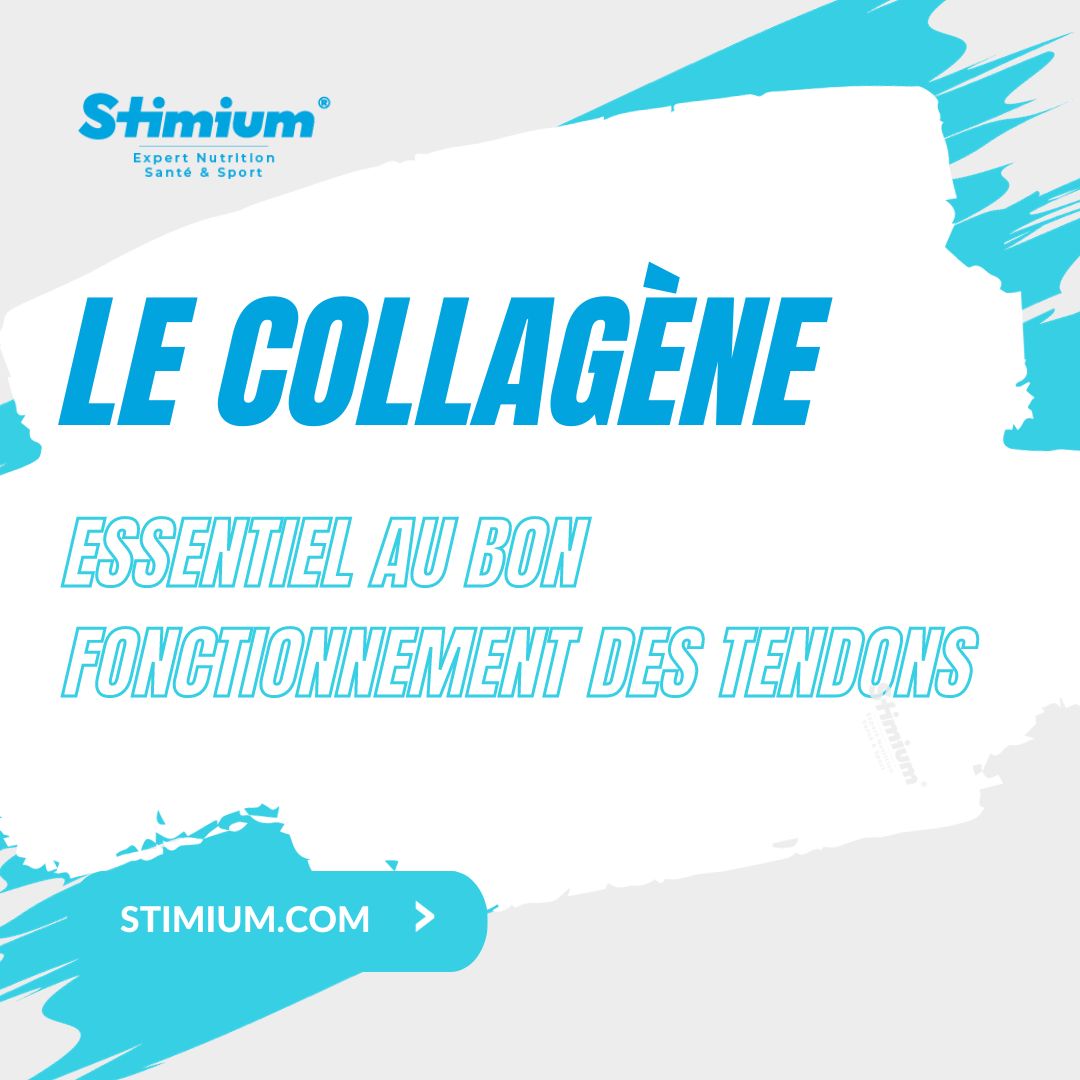 Découvrez comment le collagène et son rôle pour les tendons soutiennent la santé musculo-squelettique et favorisent la récupération.