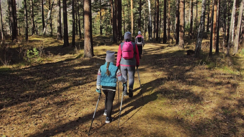La marche nordique, une activite sportive complete melant travail d'endurance et de renforcement musculaire en exterieur au coeur de la nature