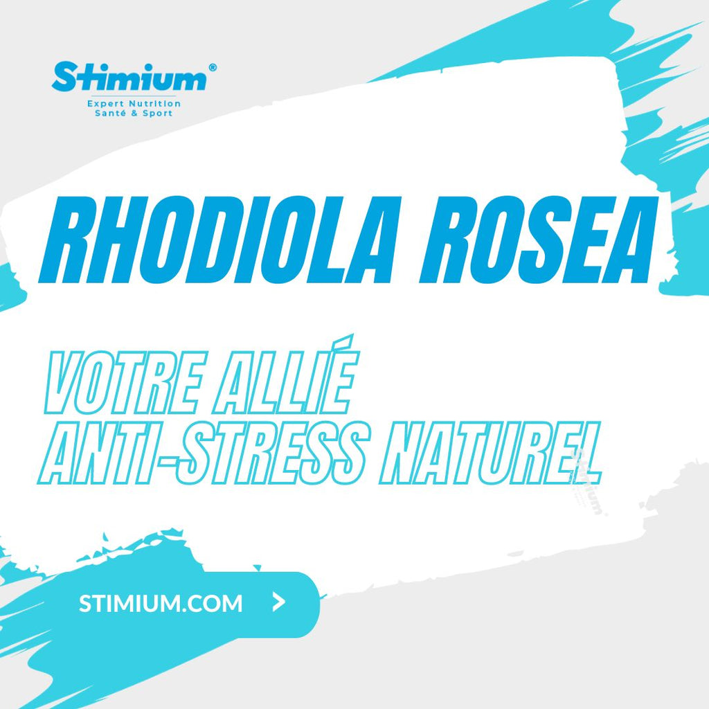 Rhodiola rosea : Votre allié anti-stress naturel
