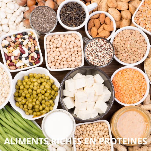 Quels sont les aliments les plus riches en protéines végétales ?