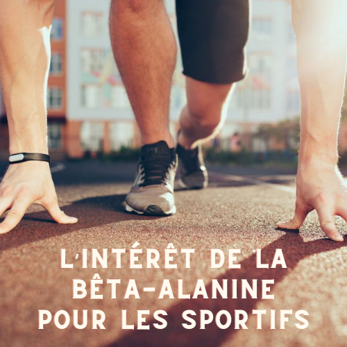 Qu’est-ce que la bêta-alanine ?