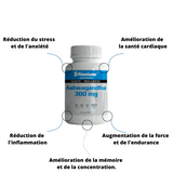 STIMIUM Ashwagandha ou Ashwaganda, plante adaptogène pour le plus puissant antistress naturel avec effet sur le stress oxydatif sur notre cerveau, améliorant les capacités cognitives, effet anti-inflammatoire sur les douleurs articulaires, propriétés antioxydantes extraordinaires améliorant l'élimination des radicaux libres dans l'organisme, redonne de l'énergie physique et aide à maintenir une résistance physique optimale, améliore l’endurance et la résistance, principalement sur les efforts longs